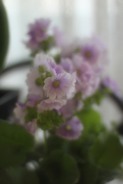 IMG_6173.jpgのサムネール画像のサムネール画像
