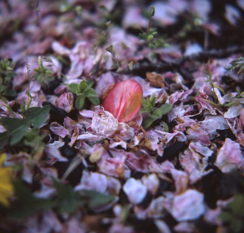 img011.jpg