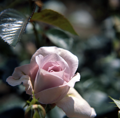 img023.jpg