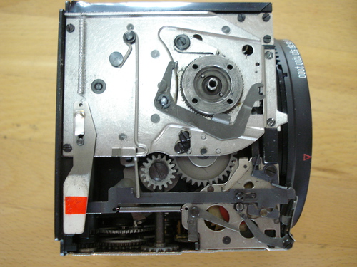 DSC01982.JPG