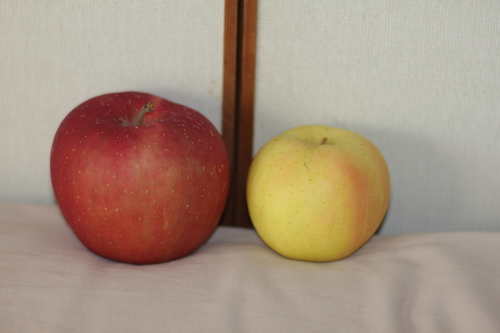 IMG_6782.jpg